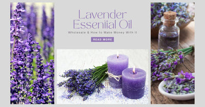 Wholesale Lavender Essential Oil - How To Sell It And Make Money With It