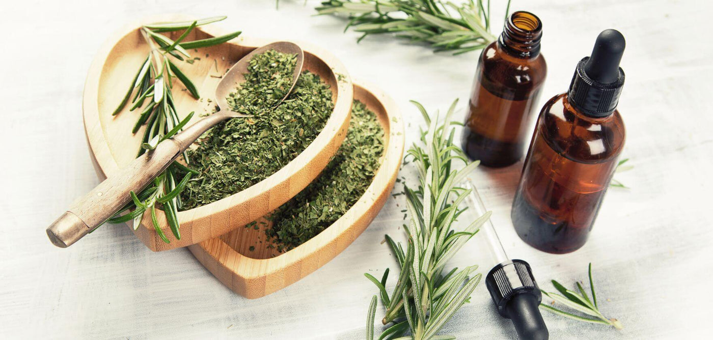 How to use Rosemary Essential Oil to Improve Memory