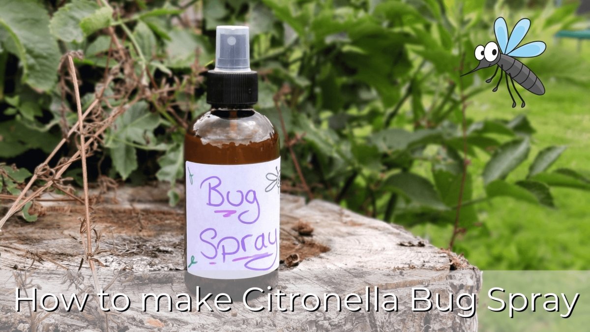 How to make Citronella Bug Spray (Recipe) - Tender Essence