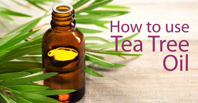 How to use Tea Tree Essential Oil