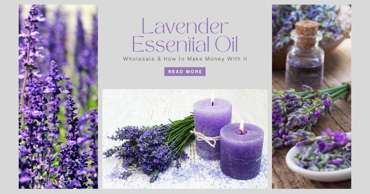 Wholesale Lavender Essential Oil - How To Sell It And Make Money With It - Tender Essence