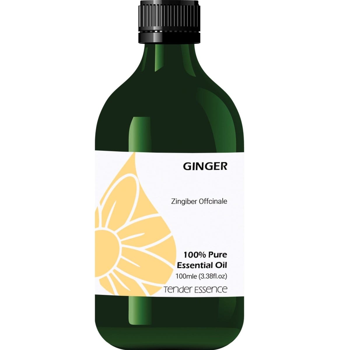 Ginger Pure Essential Oil - Tender Essence