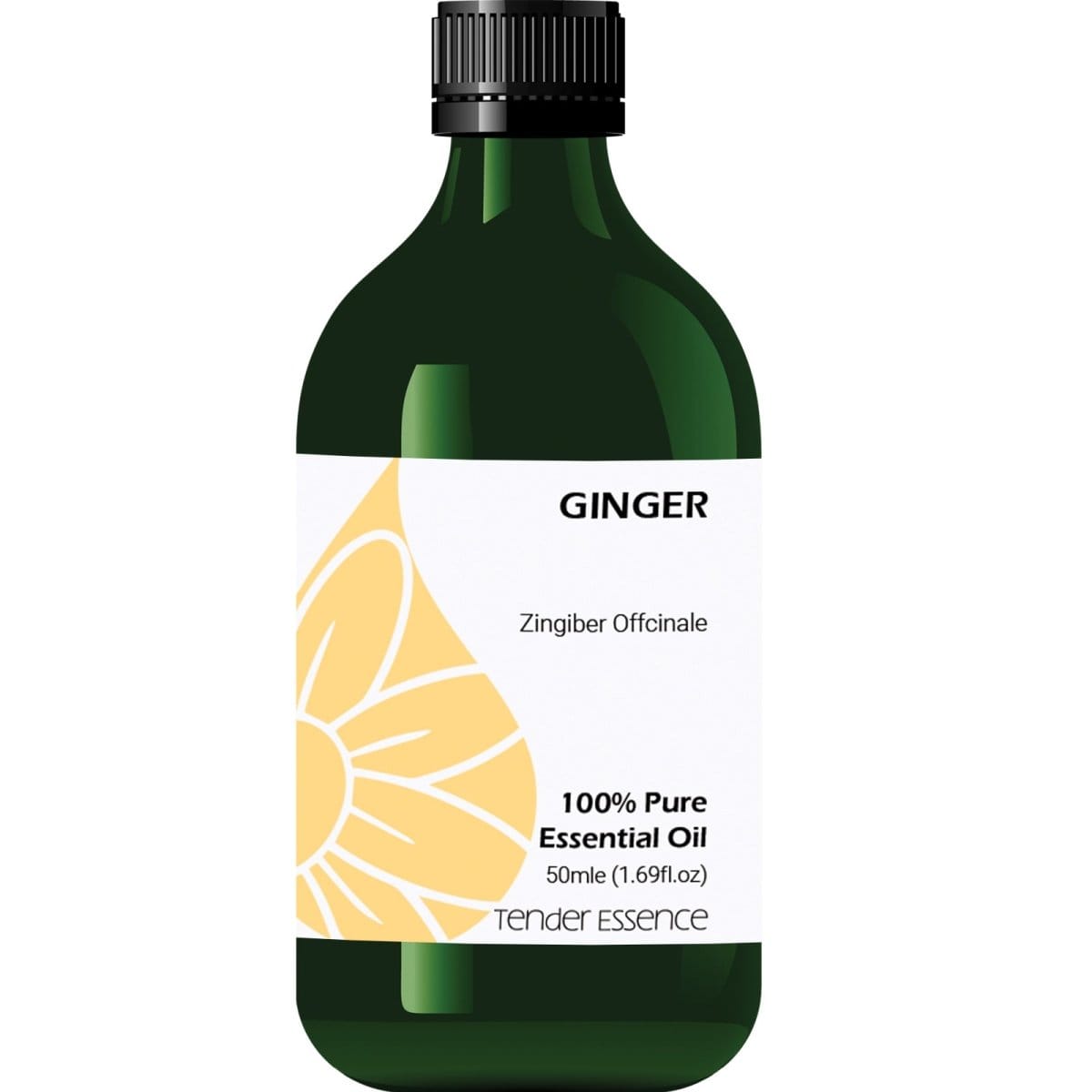 Ginger Pure Essential Oil - Tender Essence