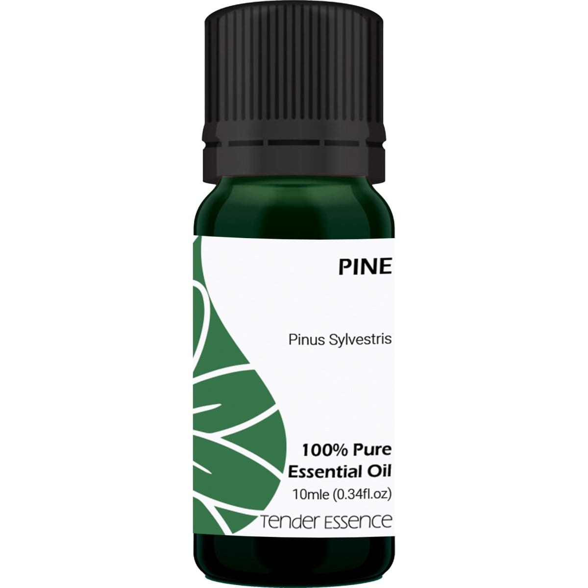 Pine Pure Essential Oil - Tender Essence